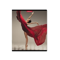 Тетрадь 48 листов в клетку, ErichKrause "Балет", обложка мелованный картон, матовая ламинация, блок офсет 100% белизна, МИКС (1 вид в спайке) Тетрадь 48 листов в клетку, ErichKrause "Балет", обложка мелованный картон, матовая ламинация, блок офсет 100% белизна, МИКС (1 вид в спайке)