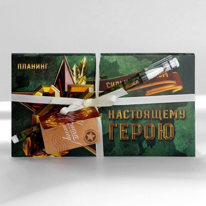 Подарочный набор &laquo;Сильному духом&raquo; планинг и ручка