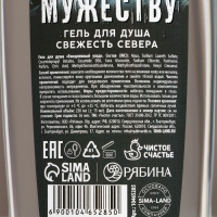 Новый Год. Гель для душа &laquo;Холода - не преграда&raquo;, 250 мл, аромат свежести севера