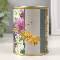 Растущая травка "Астра" Растущая травка "Астра"