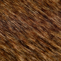 Лоскут &laquo;Мех&raquo; на трикотажной основе, 100 &times; 150 см, цвет меланж