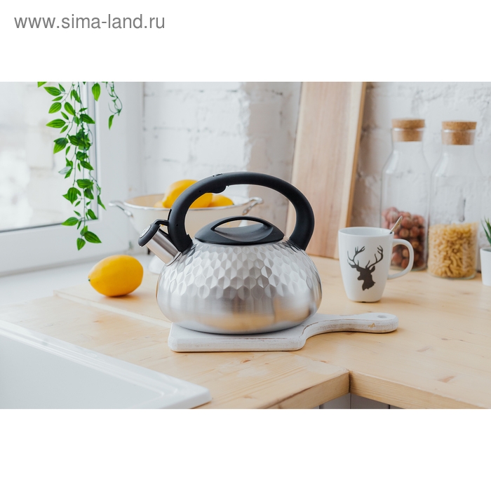 Чайник со свистком из нержавеющей стали Magistro Glow, 3 л, индукция, ручка soft-touch, цвет серебряный Чайник со свистком из нержавеющей стали Magistro Glow, 3 л, индукция, ручка soft-touch, цвет серебряный