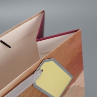 Пакет подарочный ламинированный, упаковка, &laquo;Ты особенный&raquo;, 25.4 х 30.5 х 12.7 см