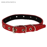 Ошейник кожаный на синтепоне, безразмерный, 37 х 1,5 см, ОШ 21-31 см, красный Ошейник кожаный на синтепоне, безразмерный, 37 х 1,5 см, ОШ 21-31 см, красный