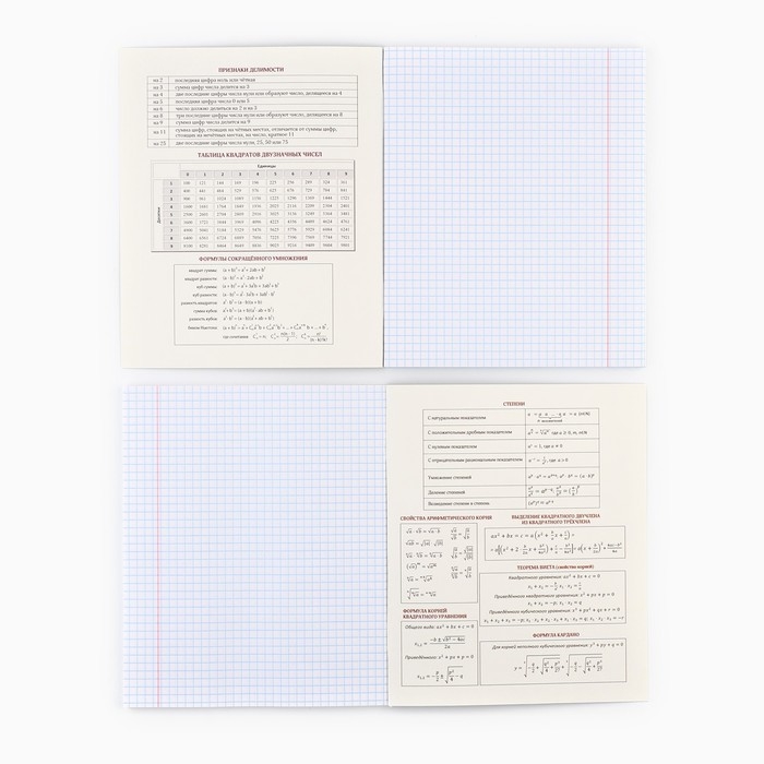 Предметная тетрадь А5, 48 л на скрепке &laquo;Неон. Алгебра&raquo;  Софт тач лам, 3D лак
