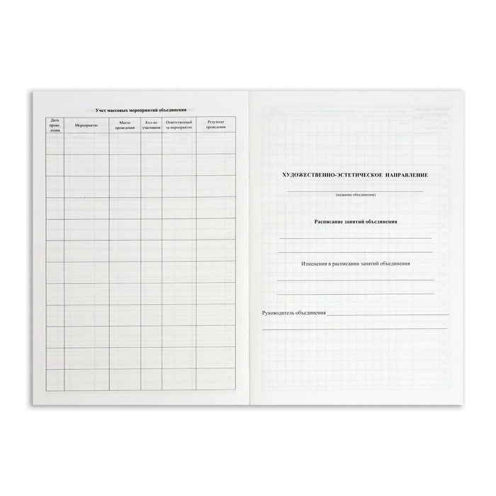 Журнал учета внеурочной деятельности в образовательной организации А4, 32 листа