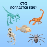 Набор для опытов &laquo;Древний мир&raquo;