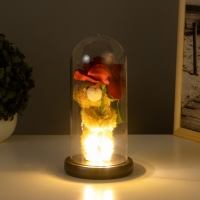 Ночник колба &laquo;Мишка с розой&raquo; LED 3хААА 10,5х10,5х22см