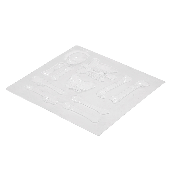 Набор для опытов &laquo;Наука твоего тела&raquo;, 10 опытов