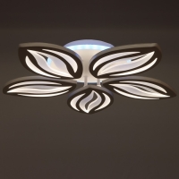 Светильник ГАЛЛОП "Галактика" 423700 LED 90W RGB белый 60,5х60,5х7,5см 4916809