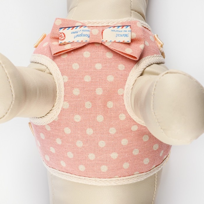 Комплект амуниции с мягкой шлейкой "Горох", S, поводок 120 х 1,5 см, ОШ 26-40 см, ОГ 28-42 см, роз