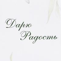 Пакет подарочный ламинированный под бутылку,"Дарю радость",13 × 32 × 11,3 см Пакет подарочный ламинированный под бутылку,"Дарю радость",13 × 32 × 11,3 см