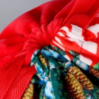 Сумка детская новогодняя «Посылка от Деда Мороза», 35 х 30 см., на новый год Сумка детская новогодняя «Посылка от Деда Мороза», 35 х 30 см., на новый год