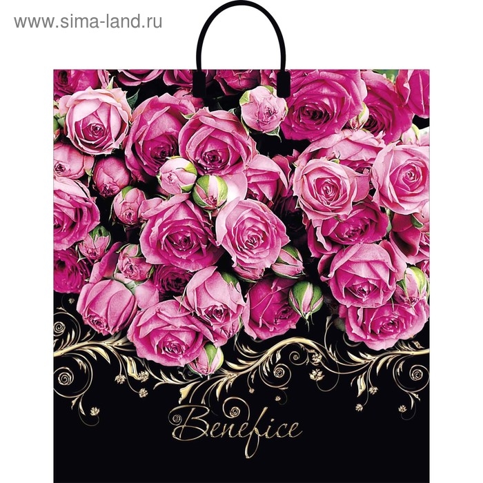 Пакет Пакет "Бенефис", полиэтиленовый с пластиковой ручкой, 40 х 44, 100 мкм