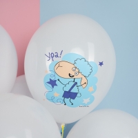 Шар латексный 12" «Отель у Овечек», белый, 2 ст., набор 25 шт. МИКС Шар латексный 12" «Отель у Овечек», белый, 2 ст., набор 25 шт. МИКС