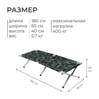 Раскладушка &laquo;Медведь&raquo;, 180 х 65 х 40 см, цвет МИКС