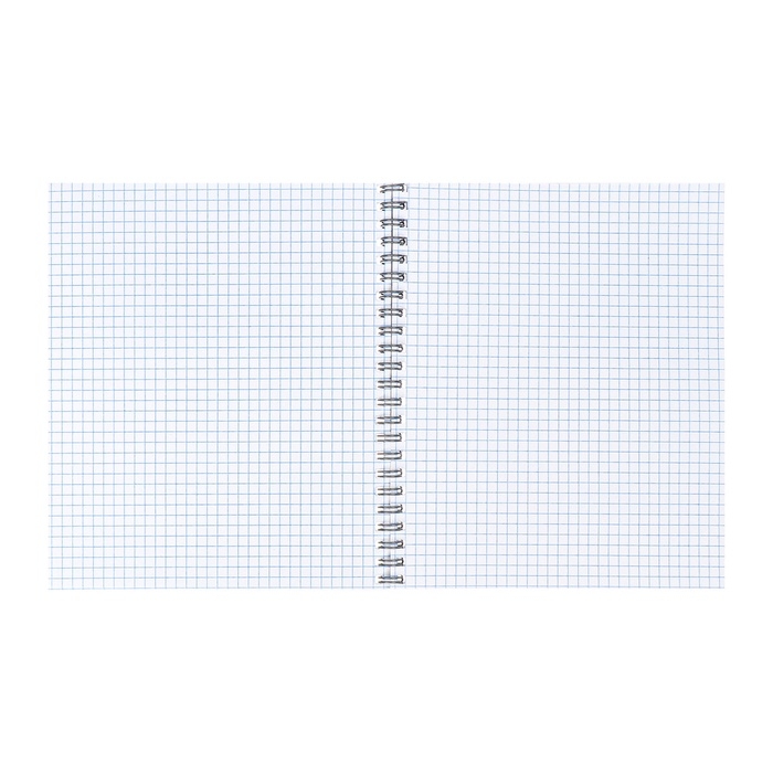 Тетрадь 48л кл на гребне Яркий силуэт, обл мел карт, ТВИН+выб УФ-лак, блок офсет МИКС