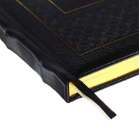 Ежедневник недатированный A5, 176 листов, deVENTE.Symbol, твёрдая обложка из искусственной кожи с поролоном, золотой срез, блок 70 г/м2, чёрный