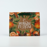 Пакет подарочный новогодний крафтовый вертикальный &laquo;С Новым годом&raquo;, мандарины, MS 18 х 23 х 10 см , Новый год