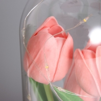 Ночник колба &laquo;Тюльпаны&raquo; LED 3хААА розовый 10,5х10,5х22см