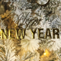 Пакет подарочный новогодний ламинированный вертикальный, конгревное тиснение &laquo;Счастливого Нового года&raquo;, ML 23 х 27 х 11.5 см, Новый год