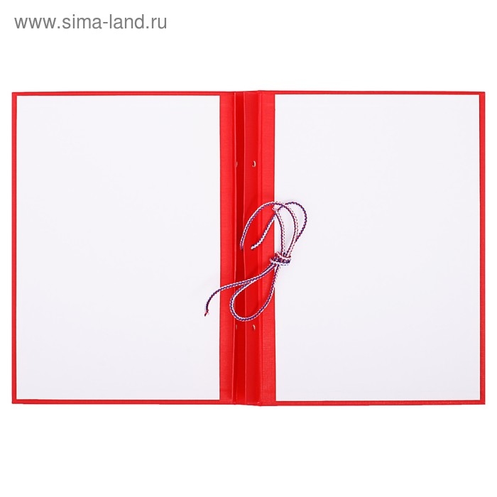 Папка Папка "Дипломный проект" А4, бумвинил, гребешки/сутаж, без бумаги, цвет красный (вместимость до 300 листов)