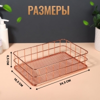 Органайзер для хранения косметических принадлежностей «РАФАЭЛЬ», 24,5 × 16,5 × 6,5 см, цвет бронзовый Органайзер для хранения косметических принадлежностей «РАФАЭЛЬ», 24,5 × 16,5 × 6,5 см, цвет бронзовый