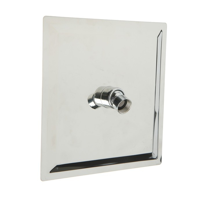 Душевая лейка Accoona А355-1, на шарнирном креплении, 20 см, квадрат, нержавеющая сталь Душевая лейка Accoona А355-1, на шарнирном креплении, 20 см, квадрат, нержавеющая сталь