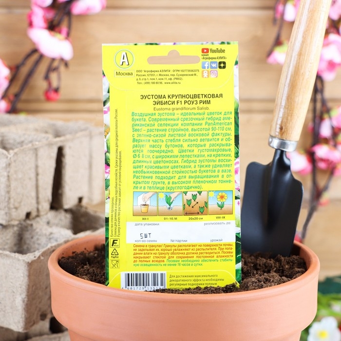 Семена Эустома Семена Эустома "Эйбиси" F1 роуз рим крупноцветковая махровая, 5 шт.