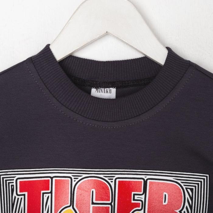 Свитшот для мальчика MINAKU: Casual Collection KIDS цвет графит, рост 116 Свитшот для мальчика MINAKU: Casual Collection KIDS цвет графит, рост 116