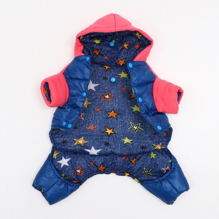 Комбинезон Комбинезон "Эльф", размер 14 (ДС 32 см, ОГ 42 см, ОШ 31 см), розово-синий