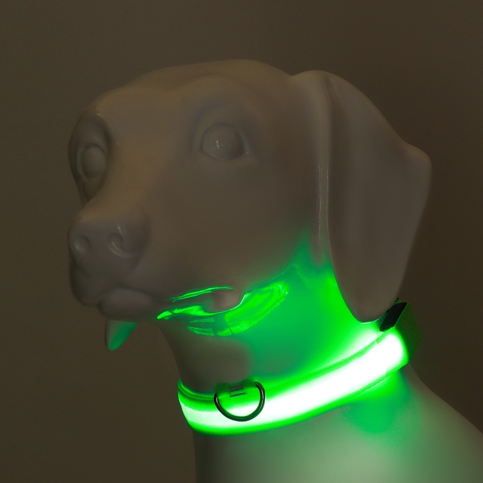 Ошейник с подсветкой размер М, ОШ 40-48 х 2,5 см, 3 режима свечения зелёный Ошейник с подсветкой размер М, ОШ 40-48 х 2,5 см, 3 режима свечения зелёный