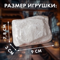 Набор для раскопок &laquo;Пиратские монеты&raquo;