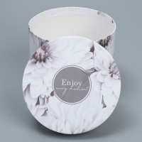 Набор шляпных коробок 5 в 1, упаковка подарочная, «Нежность», 13 х 14 ‒ 19.5 х 22 см Набор шляпных коробок 5 в 1, упаковка подарочная, «Нежность», 13 х 14 ‒ 19.5 х 22 см