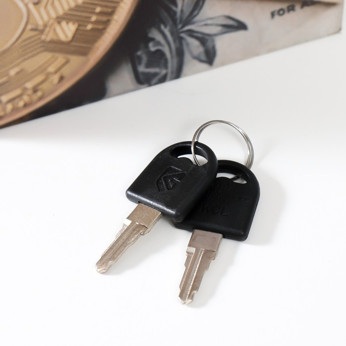 Сейф-книга дерево кожзам Сейф-книга дерево кожзам "Биткоин и доллар" 21х13х5 см