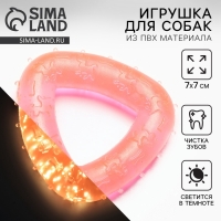 Игрушка для собак жевательная светящаяся в темноте «Треугольник», 7 х 7 см Игрушка для собак жевательная светящаяся в темноте «Треугольник», 7 х 7 см