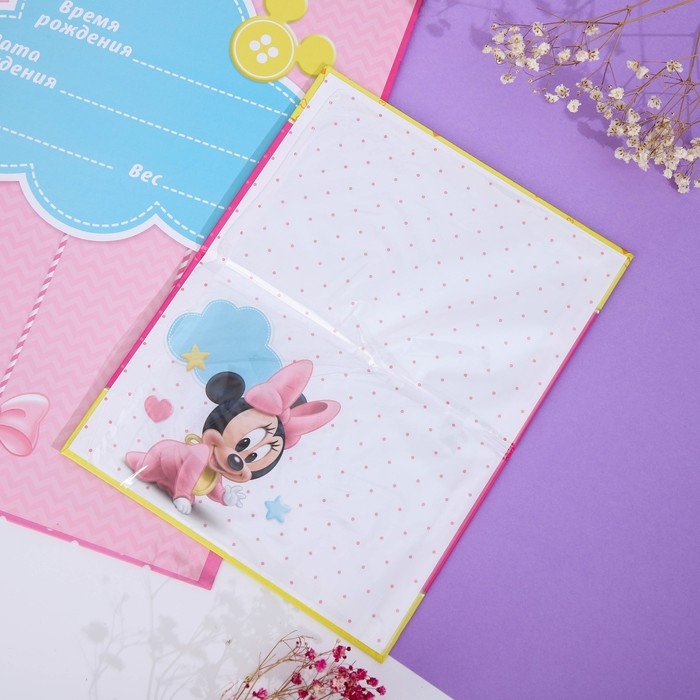 Обложка для документов набор Обложка для документов набор "Мои первые документы", Минни Маус, 21х30 см