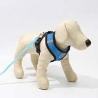 Шлейка дышащая с поводком и светоотражающей нашивкой, S, ОШ 27, ОГ 30-38, синяя Шлейка дышащая с поводком и светоотражающей нашивкой, S, ОШ 27, ОГ 30-38, синяя