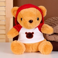 Мягкая игрушка &laquo;Мишка&raquo; в кофте, 23 см, цвет МИКС