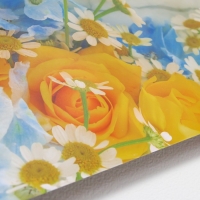 Фотофон двусторонний бумага 300 гр "Розы и ромашки" 57х87 см Фотофон двусторонний бумага 300 гр "Розы и ромашки" 57х87 см