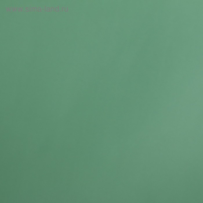 Пленка матовая для цветов Пленка матовая для цветов "Бостон", зелёный, 57 см х 5 м
