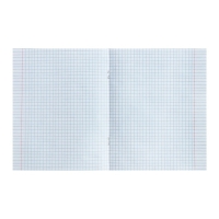 Тетрадь предметная Calligrata TOP "Полоса", 48 листов в клетку Физика, со справочным материалом, обложка мелованный картон, ТВИН + выборочный УФ-лак, блок офсет