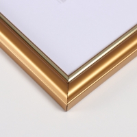 Фоторамка пластик "Пиксель" 40х60 см, золото