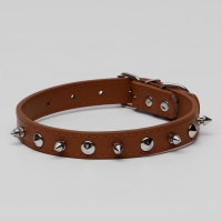 Ошейник "Лион" с шипами 45 х 2 см, ОШ 34-40 см, коричневый Ошейник "Лион" с шипами 45 х 2 см, ОШ 34-40 см, коричневый