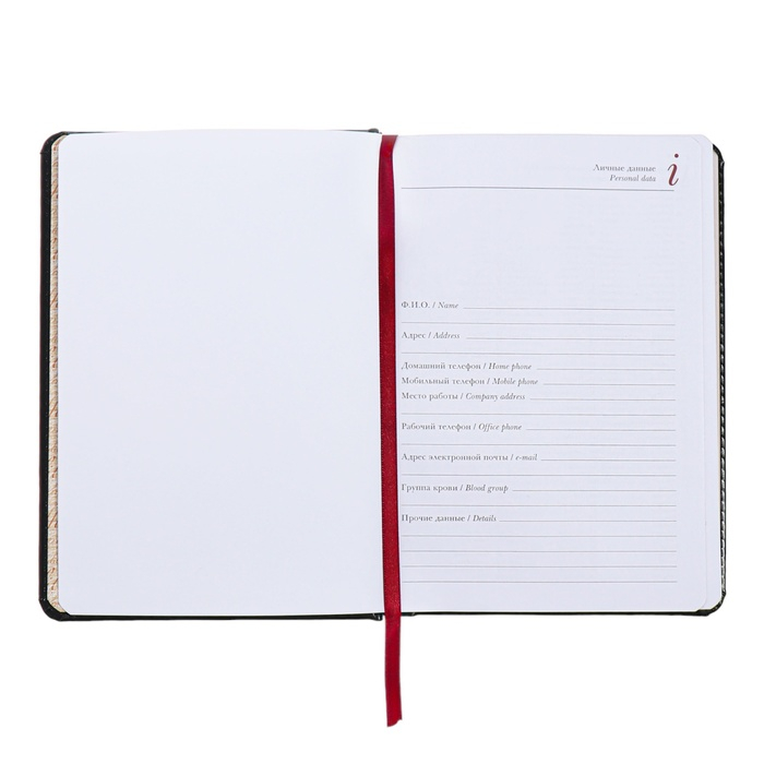 Ежедневник недатированный А5+, 136 листов Sidney Nebraska, твёрдая обложка, искусственная кожа, золотой срез, чёрный