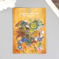 Наклейки для творчества пластик PVC "Разнообразие природы" набор 60 шт 10х14 см