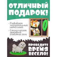 Игровой набор в коробке «Собаки декоративные» Игровой набор в коробке «Собаки декоративные»