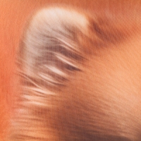 Подушка антистресс, собака "Шпиц"