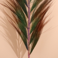 Сухоцвет на бамбуковом стебле 250 см разноцветный Сухоцвет на бамбуковом стебле 250 см разноцветный