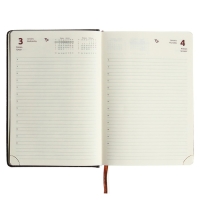 Ежедневник датированный 2024 A5 176 листов, deVENTE.Wild, твёрдая обложка из искусственной кожи, золотой срез, ляссе, кремовый блок 70 г/м2, тёмно-коричневый